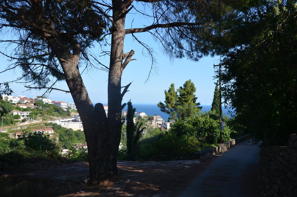 Apartment Dragovic Ulcinj Esterno foto